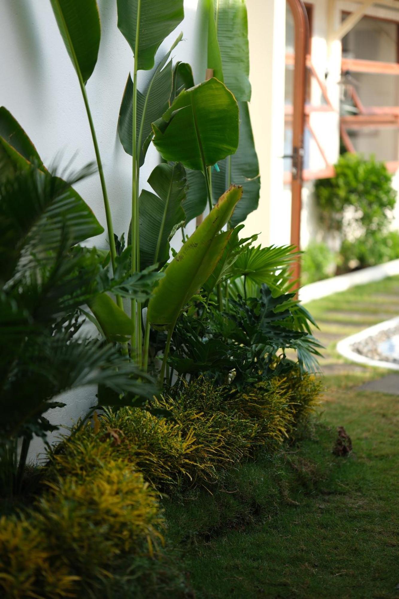 Hotel Mon House Phan Thiết Exteriér fotografie
